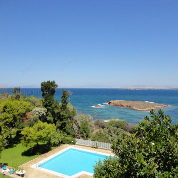 Πισίνα - θέα . Swimming pool - View 