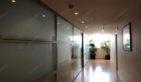 30_1234770918