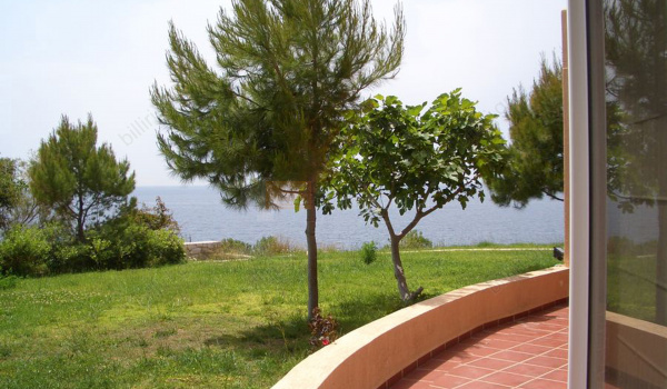 Κήπος