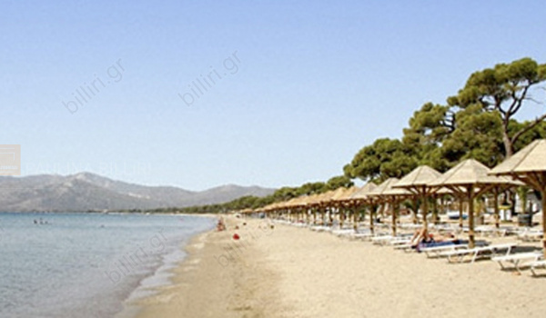 Παραλία